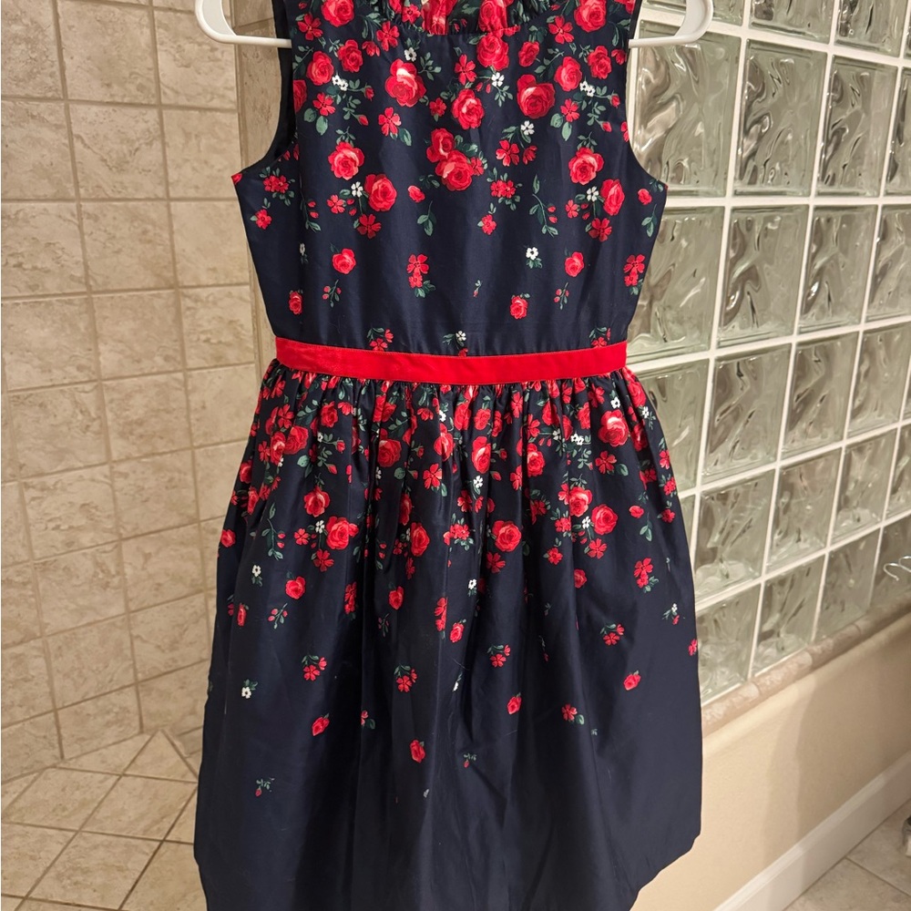 Floral Janie and Jack American Girls Sleeveless Dress with Red Rose Accents - Picture 3 of 7